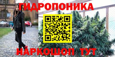 гашик Гай