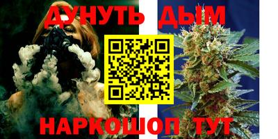 гашик Гай