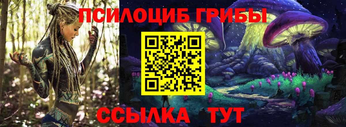 Псилоцибиновые грибы Cubensis Партизанск