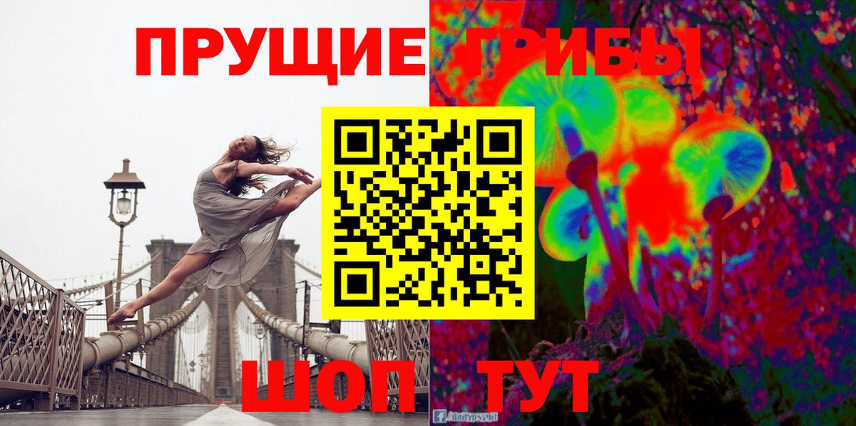Партизанск  Галлюциногенные грибы Cubensis  Вход с VPN 